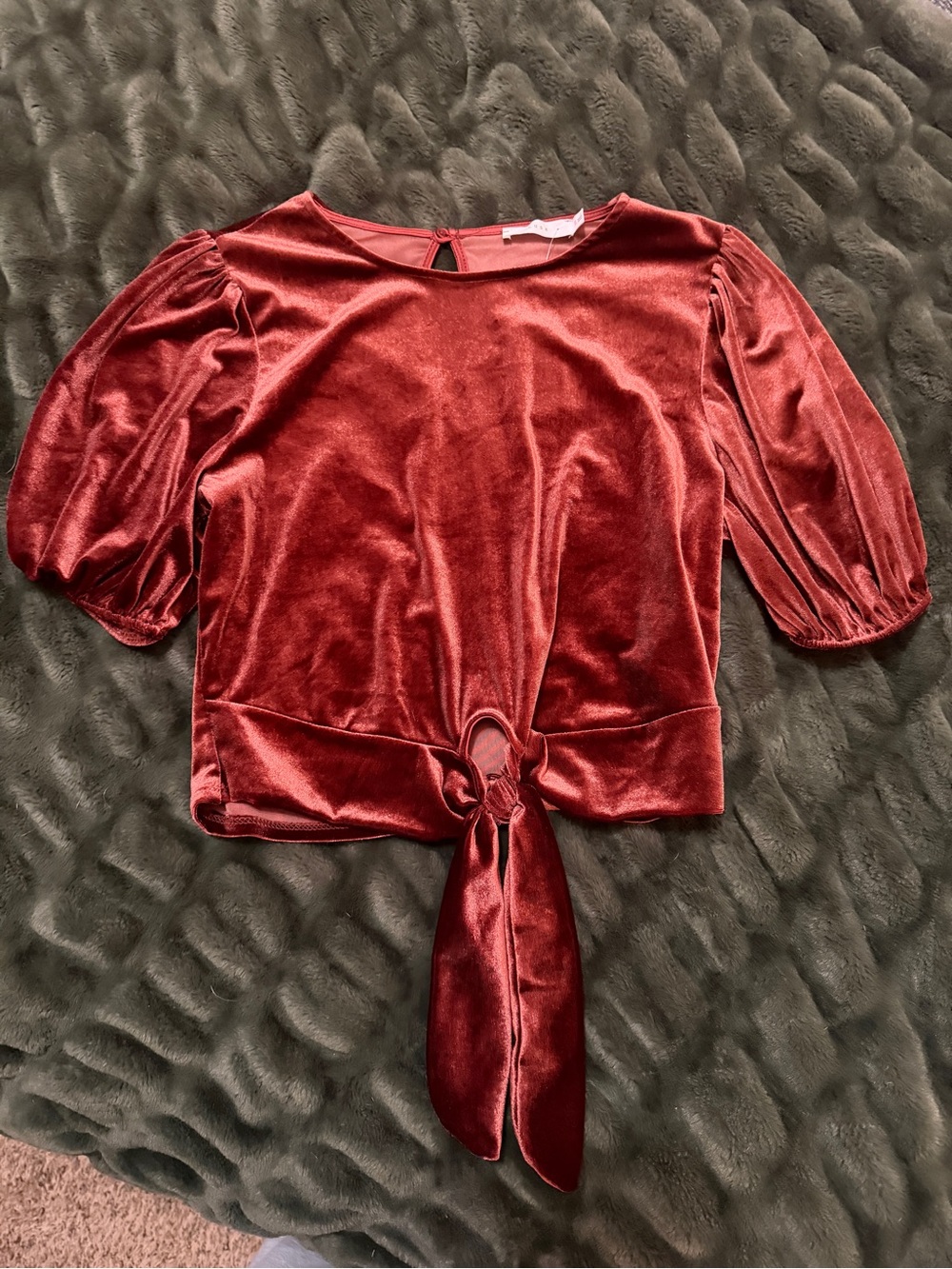 Lush Red Velvet Tie-Front Puff Sleeve Blouse